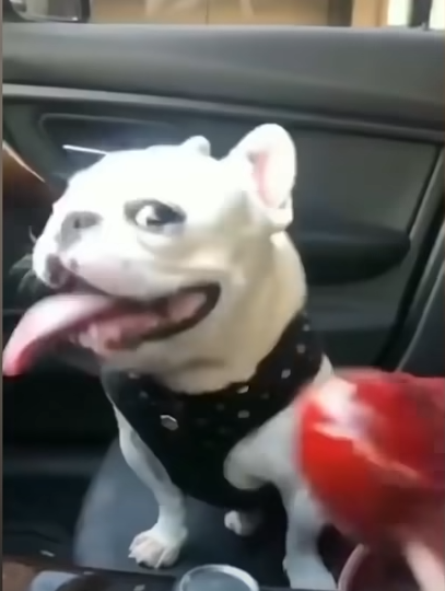 1669651489224.png