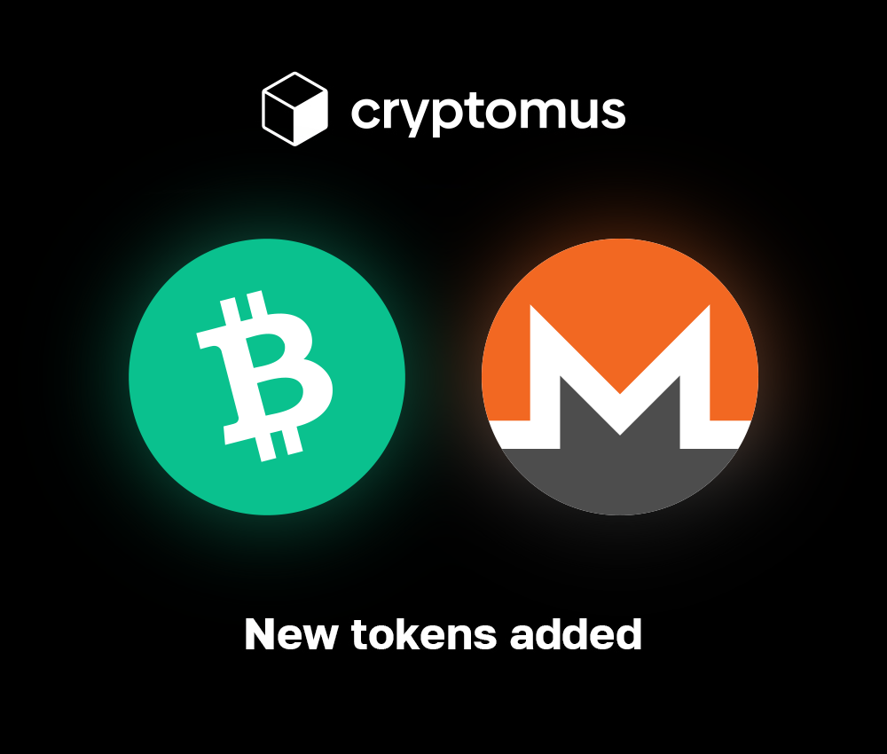 bch xmr.png
